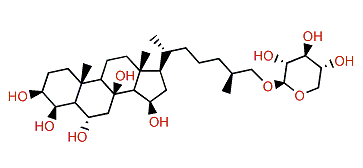 Coscinasteroside F